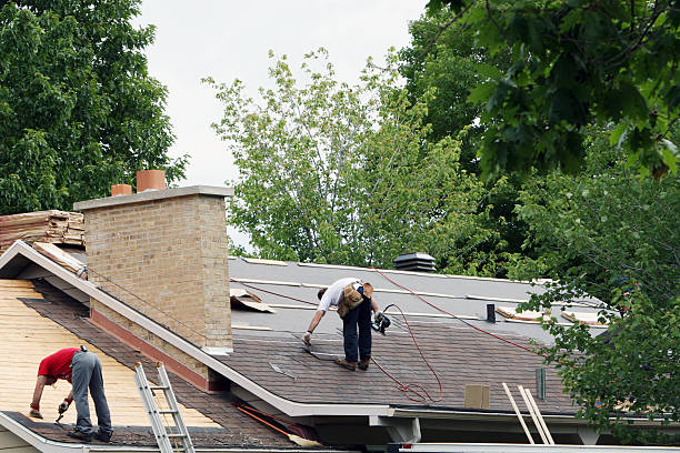 Best Roof Leak Repair  in Harbor Beach, MI