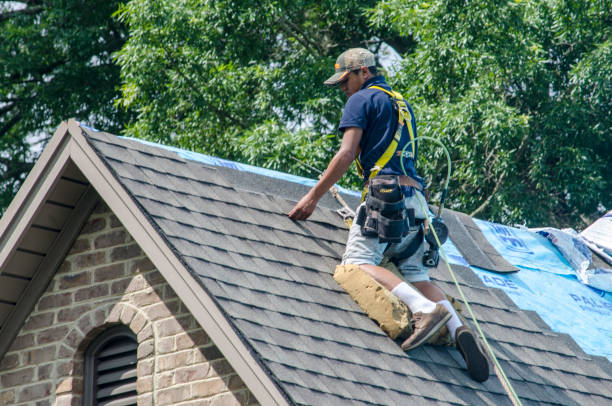 Best Residential Roofing Contractor  in Harbor Beach, MI